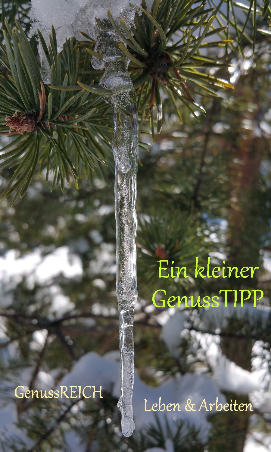 Ein kleiner GenussTIPP… für den sonnigen Tag der vor dir liegt